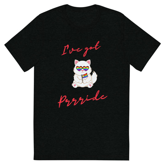 Cozy Kitty Prrride T Shirt
